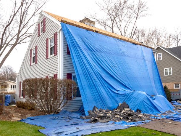 Best Custom Trim and Detailing for Siding  in Oxford, OH